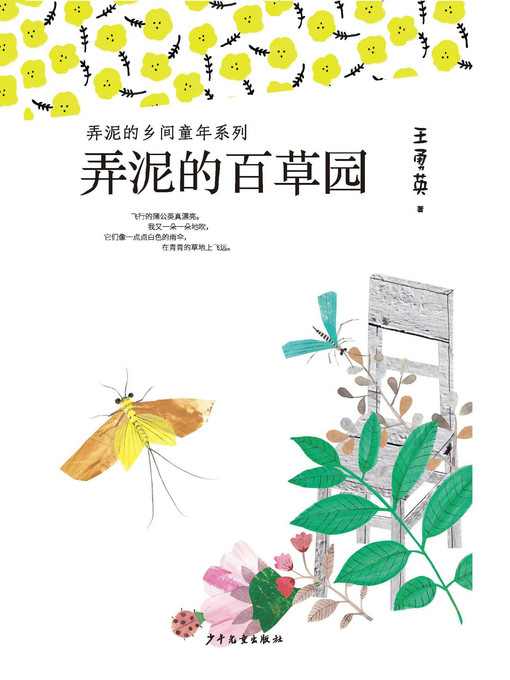 Cover image for 弄泥的乡间童年系列